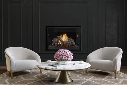 Traditional and insert gas fireplaces