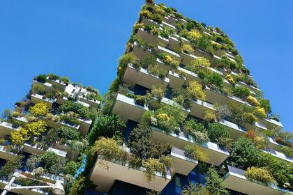 Sustainable green facades