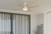 Four-bladed indoor/outdoor ceiling fan – Enviro