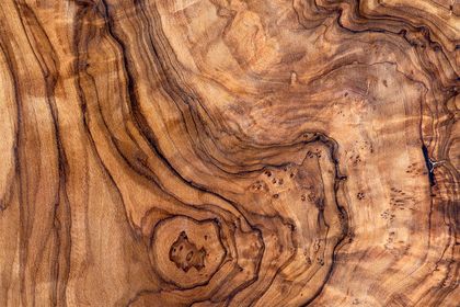 WOOD You Like To Know – timber conference