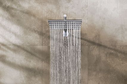 Wall-mounted shower head – 050