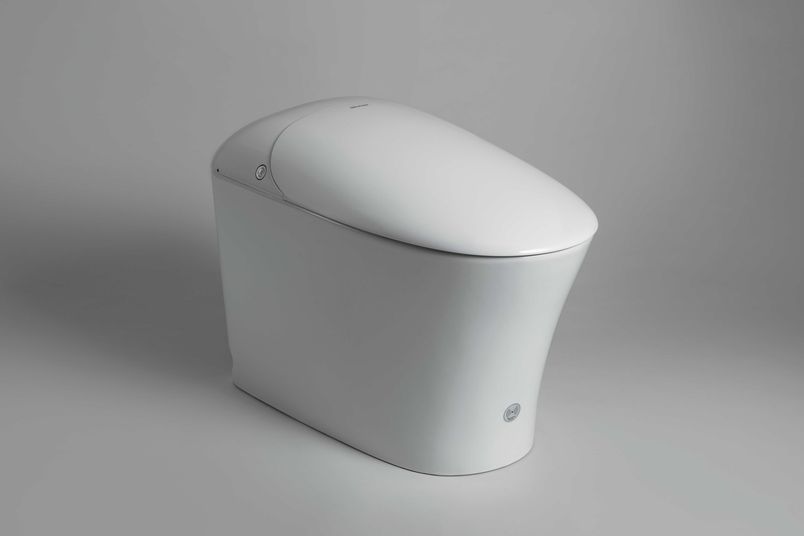 The Ely.Wish toilet is a technologically advanced bathroom feature.